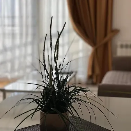 Pro
